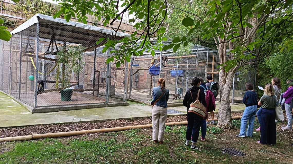 VISITE DE SILABE PAR LES PERSONNELS DE L'UNIVERSITÉ
