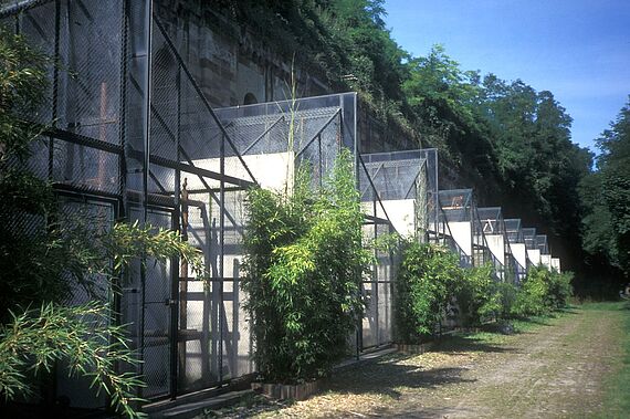 Enclosures of the Breeding and Maintenance Unit