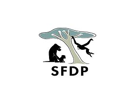 SFDP