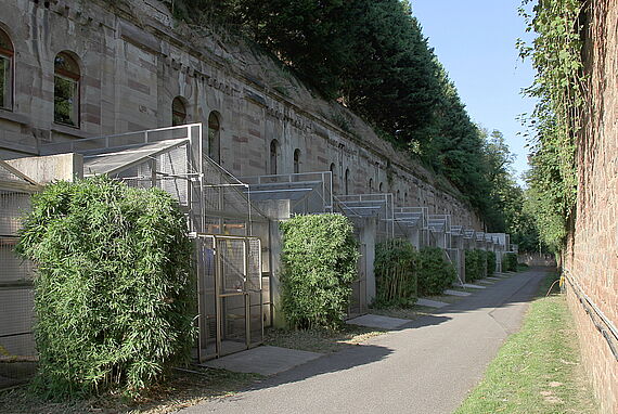 Volières extérieures bâtiment historique